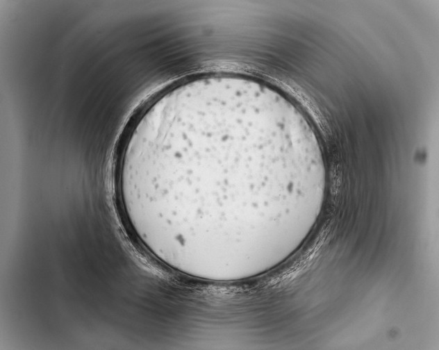 X0000103440987200810031409