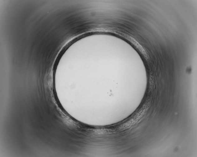 X0000103440988200810031409