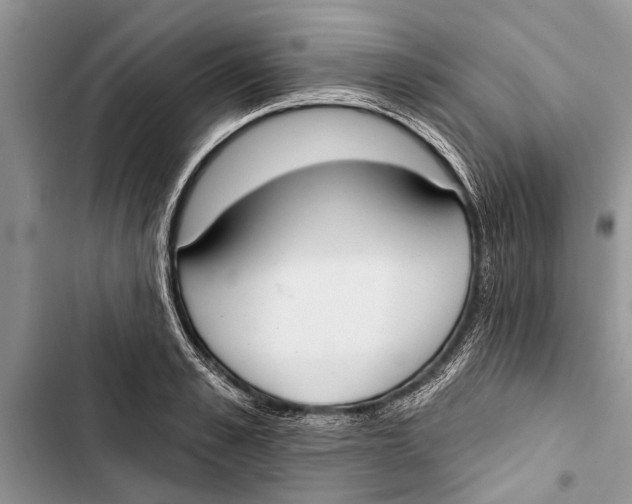 X0000103440989200810031409