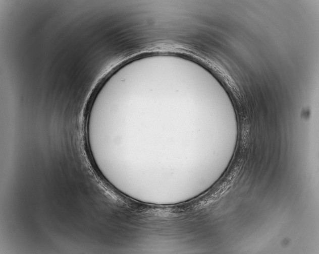 X0000103440990200810031409