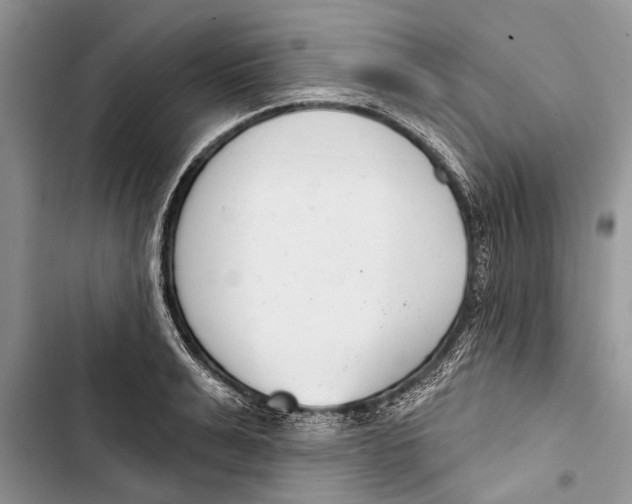 X0000103440991200810031409