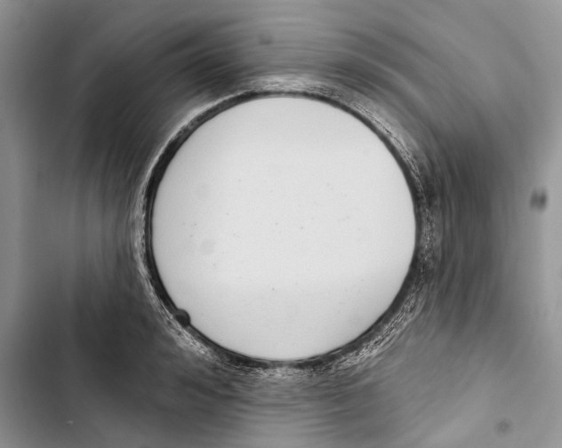 X0000103440992200810031409
