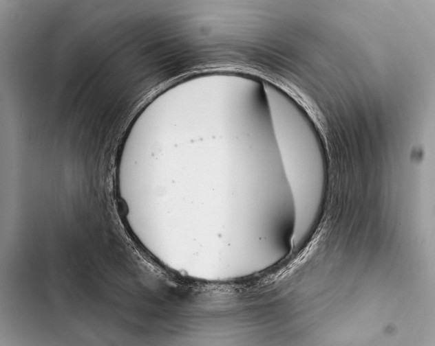 X0000103440993200810031409