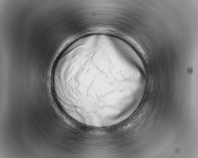 X0000103440994200810031409