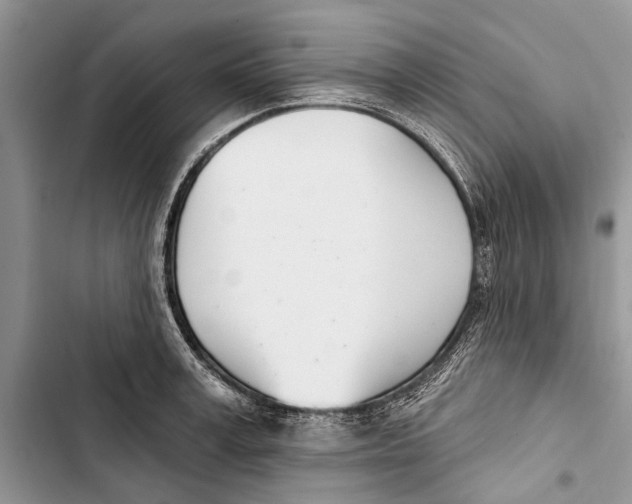 X0000103440995200810031409