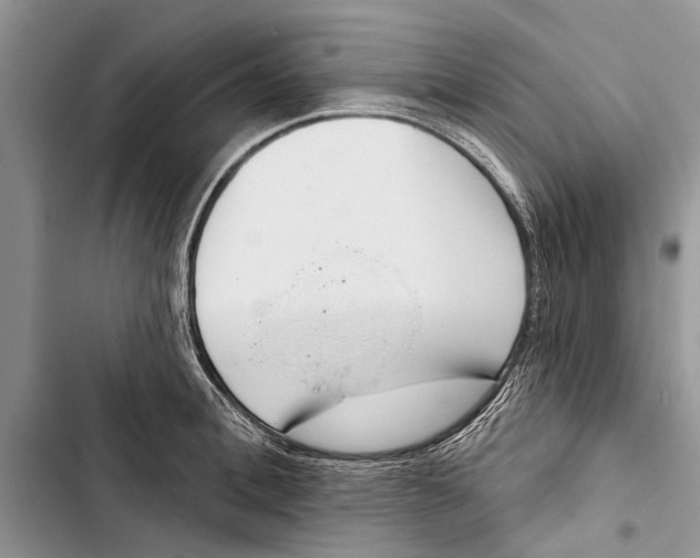 X0000103440996200810031409