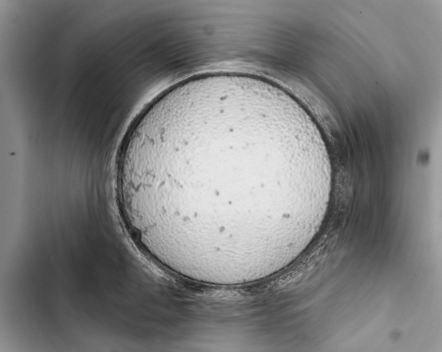 X0000103440998200810031409
