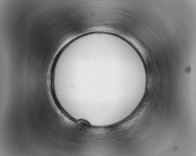X0000103440999200810031409