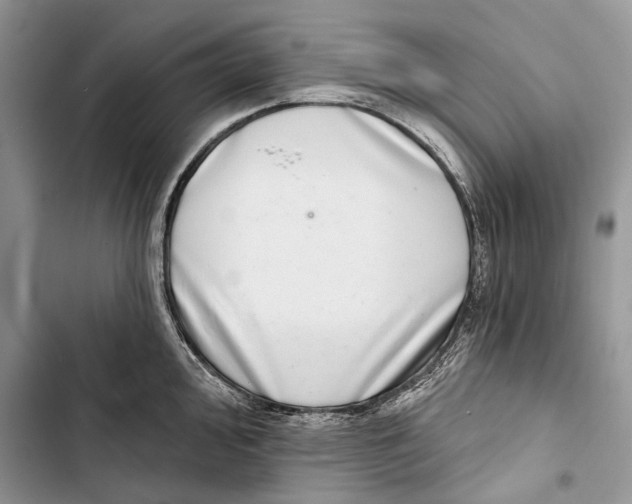X0000103441000200810031409