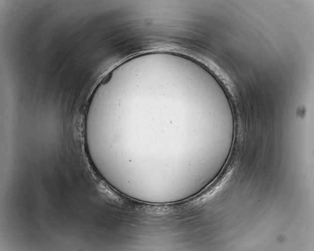 X0000103441001200810031409