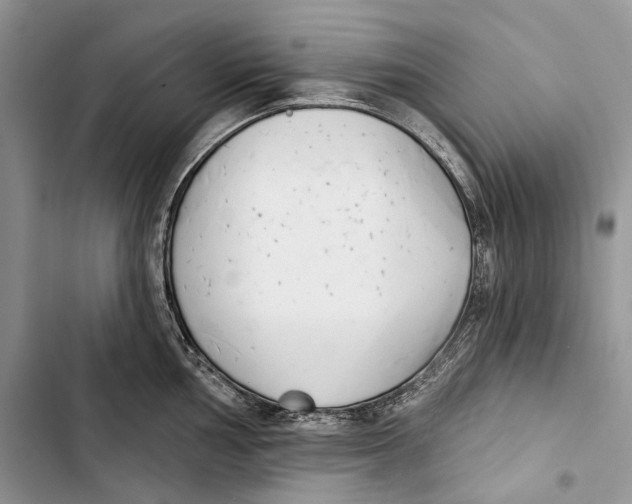 X0000103441002200810031409