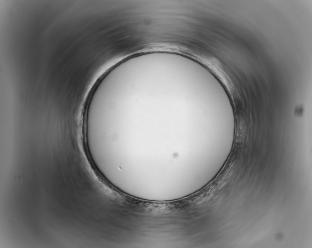 X0000103441003200810031409