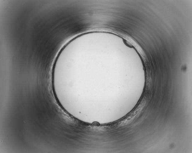 X0000103441004200810031409