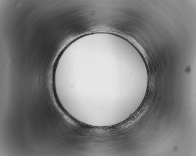 X0000103441005200810031409