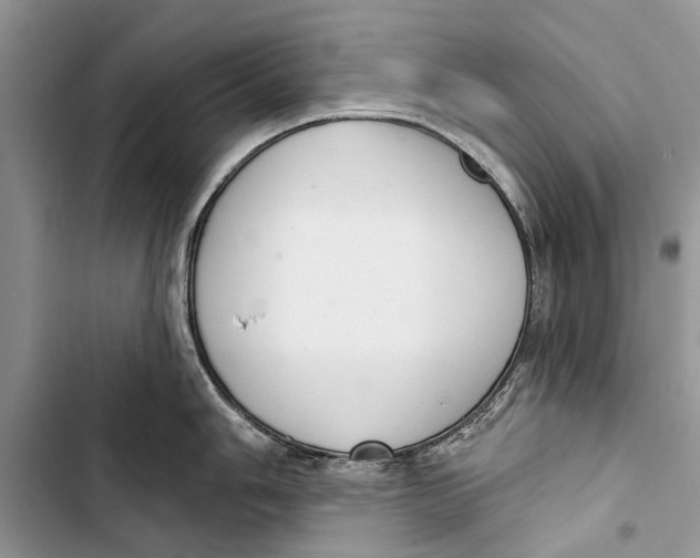 X0000103441006200810031409