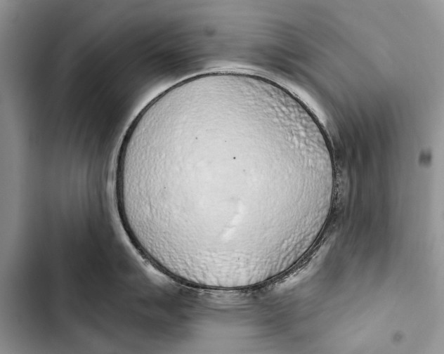 X0000103441007200810031409
