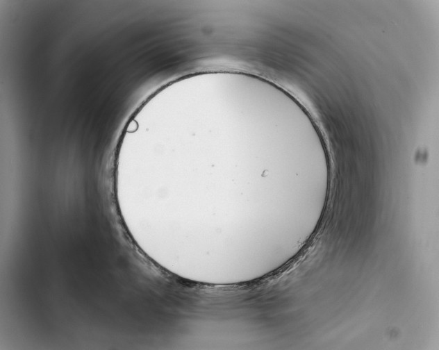 X0000103441008200810031409