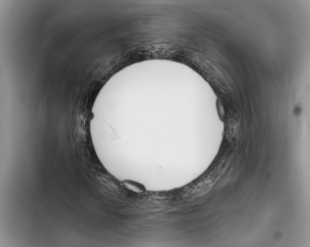 X0000103441010200810031408