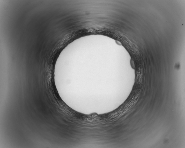 X0000103441012200810031408
