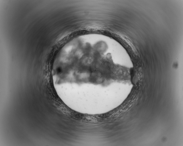 X0000103441015200810031408