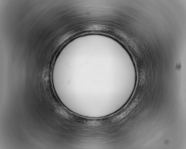 X0000103441017200810031408