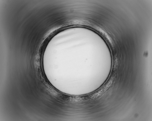 X0000103441019200810031408