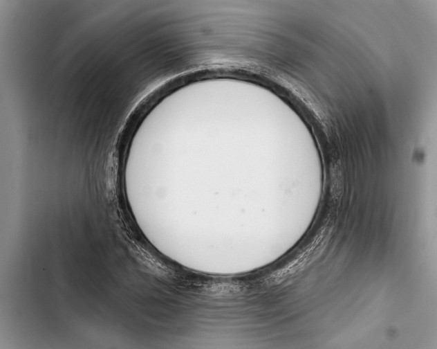 X0000103441021200810031408