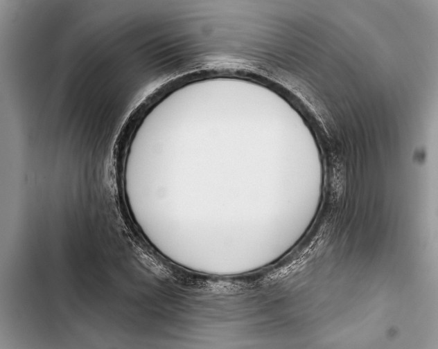 X0000103441022200810031408