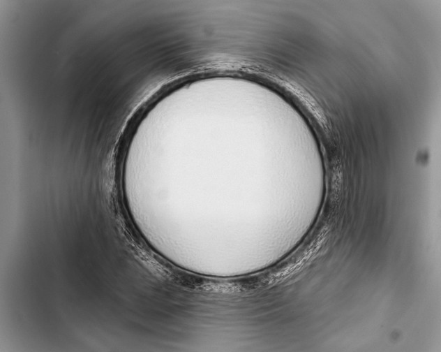 X0000103441023200810031408