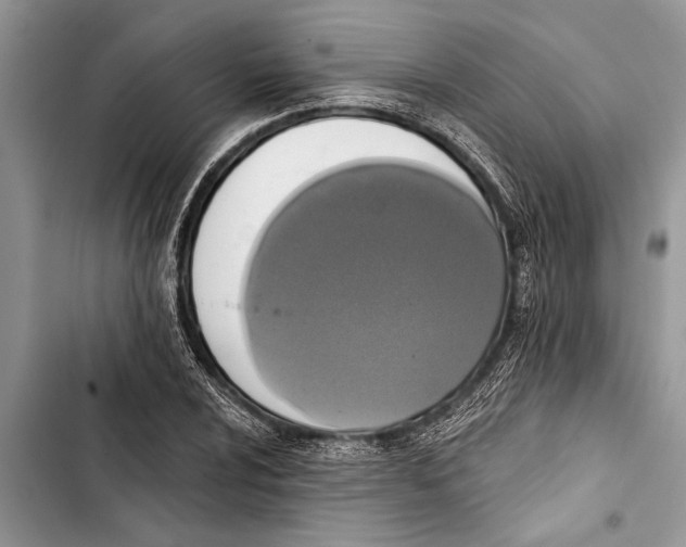 X0000103441024200810031408