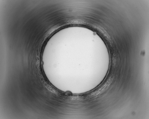 X0000103441025200810031408