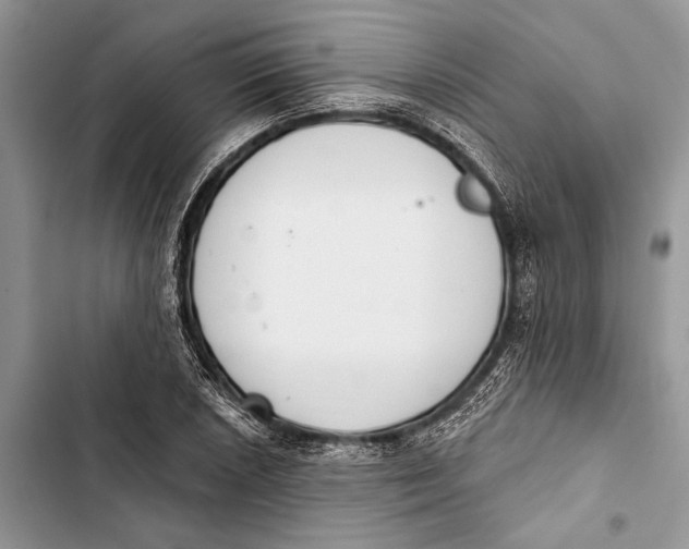 X0000103441026200810031408