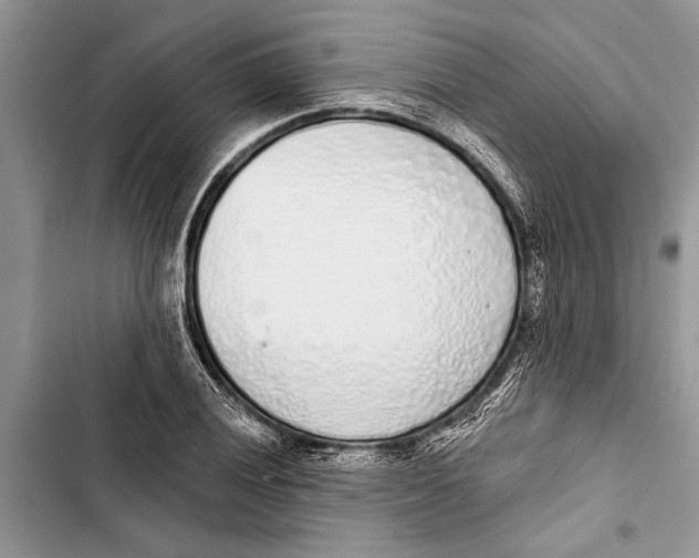 X0000103441028200810031408