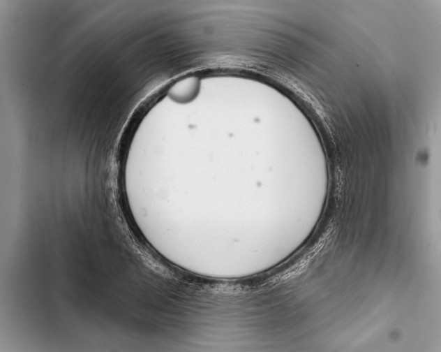 X0000103441029200810031408