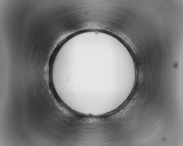 X0000103441030200810031408