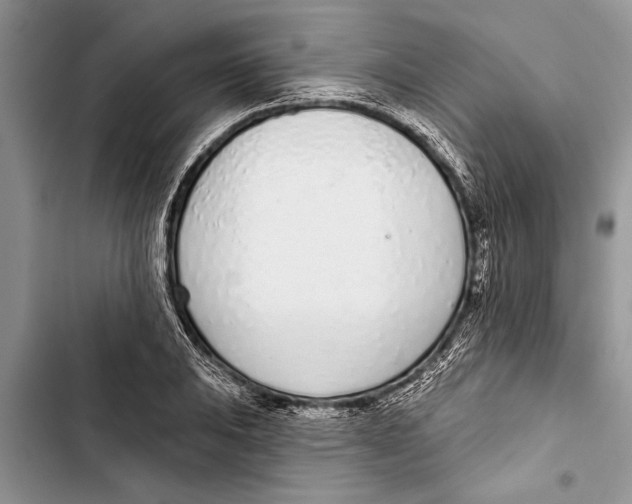 X0000103441031200810031408