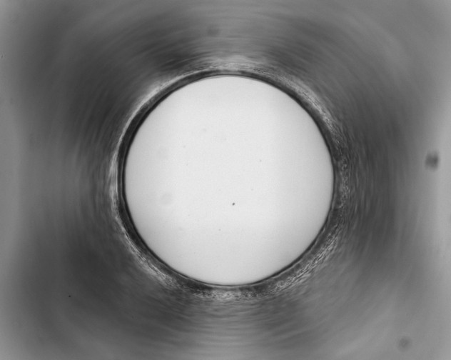 X0000103441032200810031408