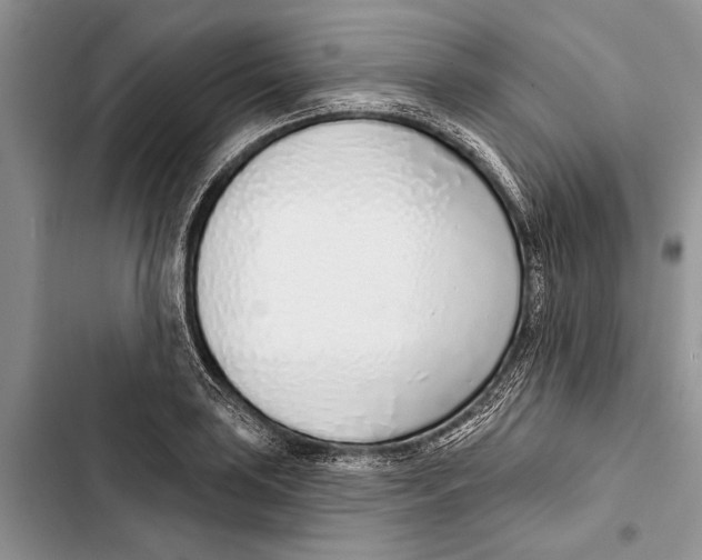 X0000103441035200810031408