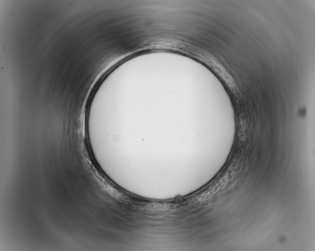 X0000103441036200810031408