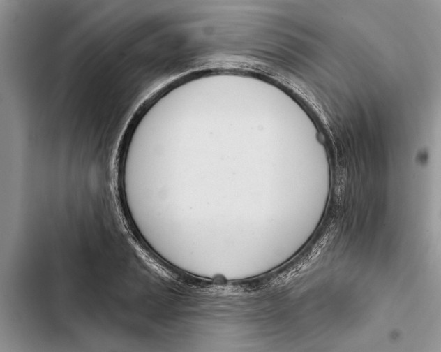 X0000103441037200810031408
