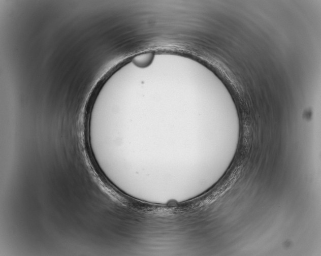 X0000103441038200810031409