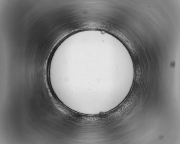 X0000103441039200810031409