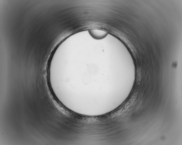X0000103441042200810031409