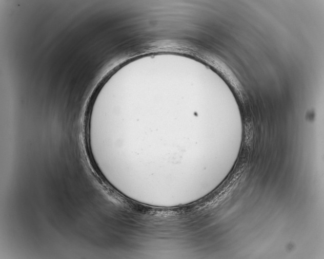 X0000103441043200810031409