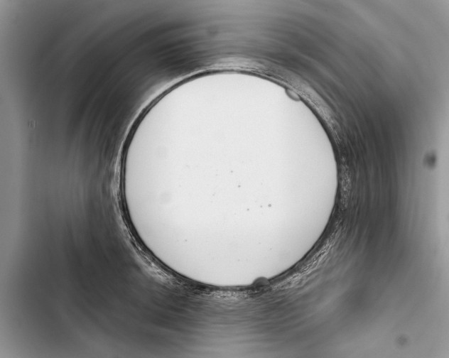 X0000103441044200810031409