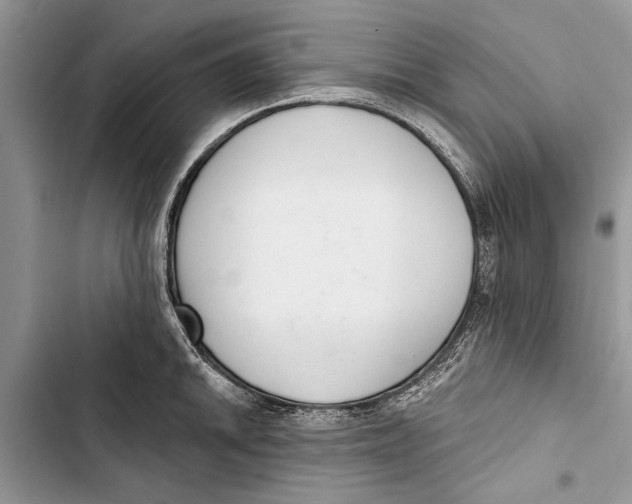 X0000103441046200810031409