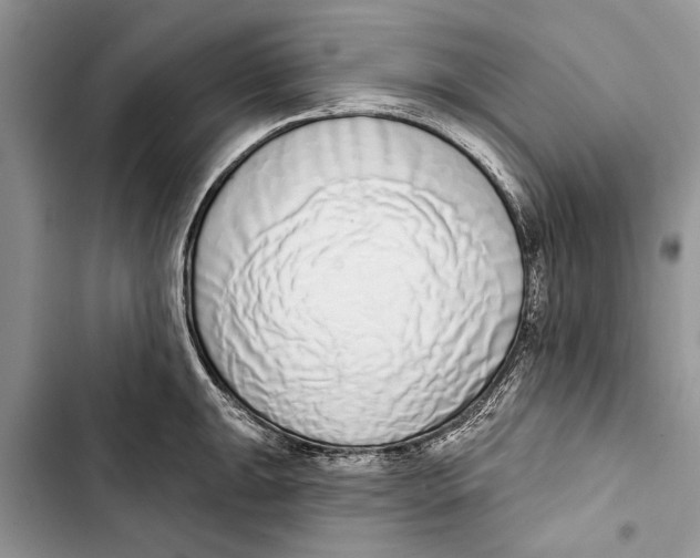 X0000103441047200810031409