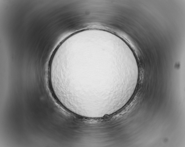 X0000103441048200810031409