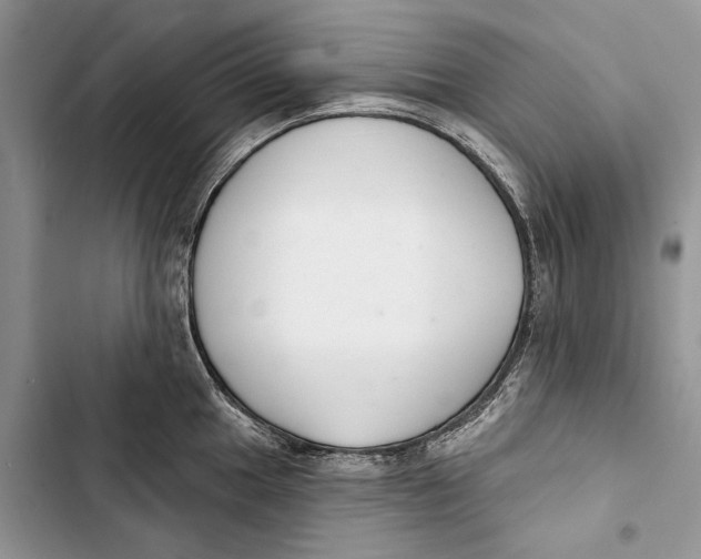X0000103441049200810031409
