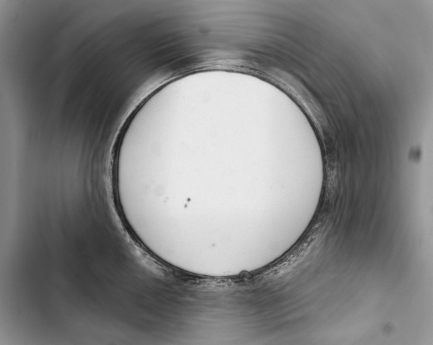 X0000103441050200810031409